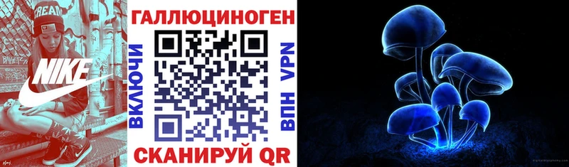 закладки Кольчугино darknet телеграм Галлюциногенные грибы Psilocybe